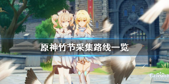 原神竹节在哪（原神竹节在哪里采）