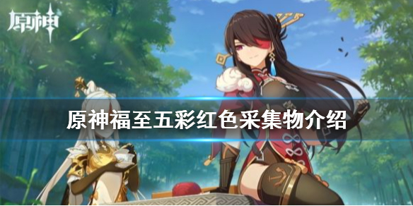 原神福至五彩第一天怎么玩（原神福至五彩一天可以换几次）