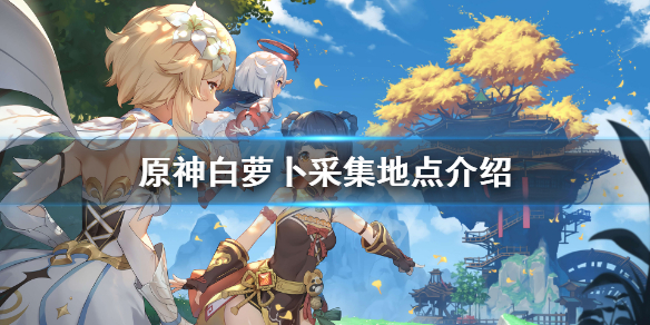 原神白萝卜哪里多（原神哪儿有白萝卜）