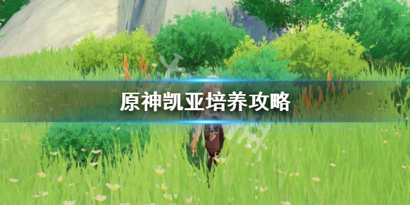 原神凯亚值得培养吗 原神适合平民的四大最强阵容