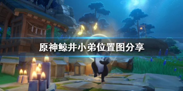 原神鲸井小弟在哪儿（原神鲸井小弟有什么用）