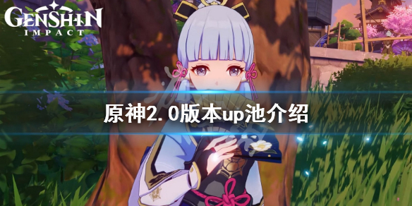 原神2.0版本up池角色有什么 原神2.0以后的up池