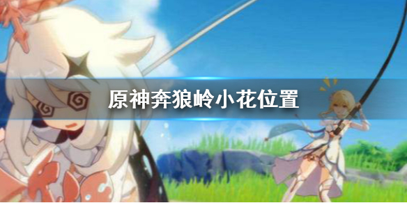 原神奔狼岭四朵小花在哪找 原神奔狼岭四个石柱怎么点亮