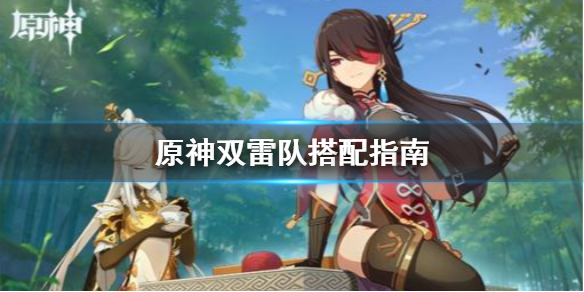 原神双雷队怎么搭配（原神双雷队怎么搭配阵容）