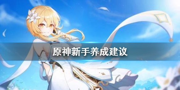 原神新手怎么养成（原神新手怎么养角色）