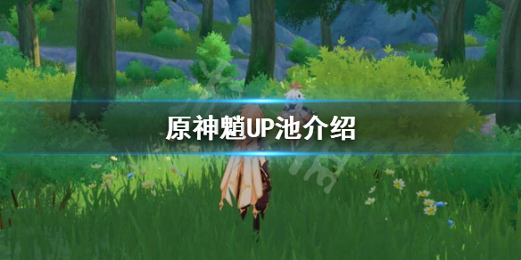 原神魈UP什么时候上线（原神魈up池会返场吗）