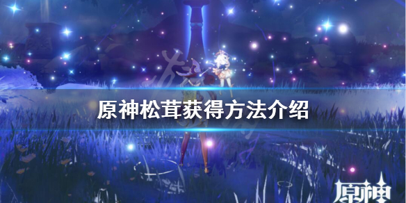 原神松茸在哪里有