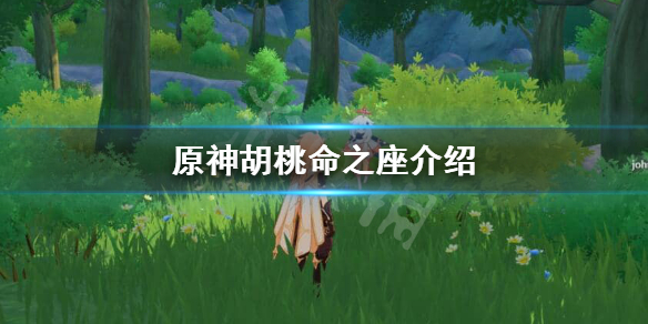 原神胡桃命之座是什么（胡桃命之座含义）