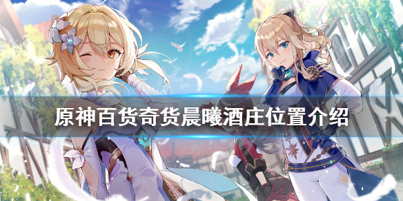 原神百货奇货第三天在哪（原神百货奇货商人在哪第一天）