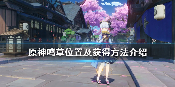 原神鸣草位置在哪 原神鸣草在哪?