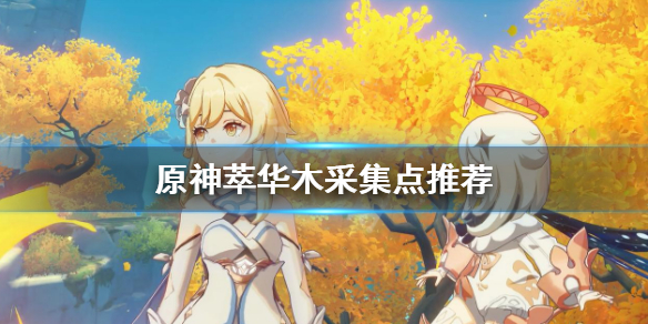 原神萃华木哪里最多 元神萃华木在哪里采集
