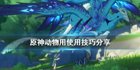原神猫有什么用（原神猫是什么角色）