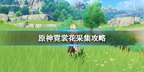 原神霓裳花在哪采集