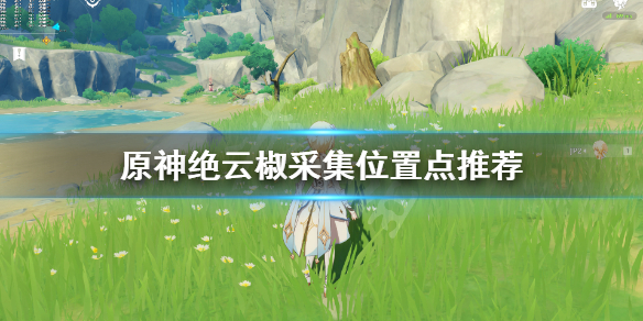 原神绝云椒哪里采集 原神绝云椒椒在哪里购买
