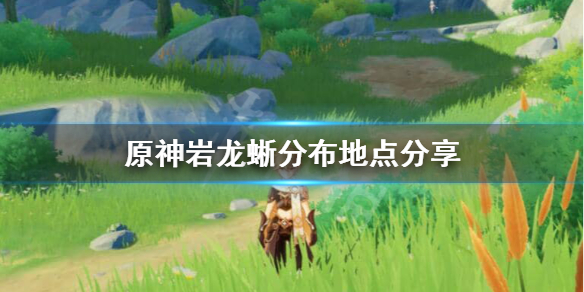 原神岩龙蜥在哪里多（原神岩龙蜥位置图）