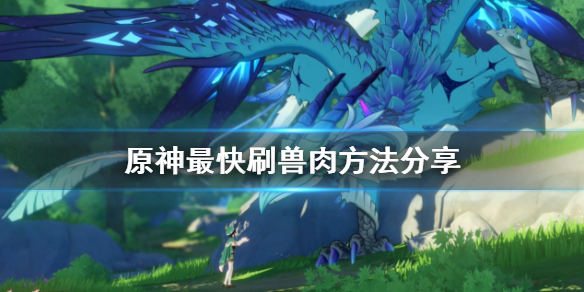 原神怎么快速刷兽肉 原神兽肉怎么快速获得