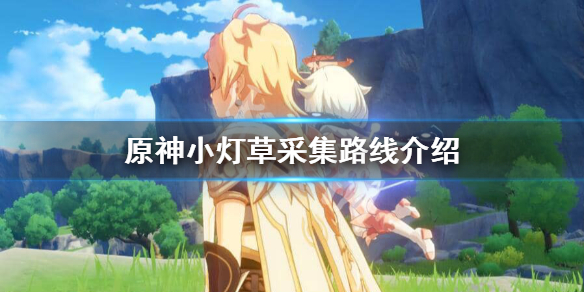 原神小灯草哪里多（原神 小灯草分布）
