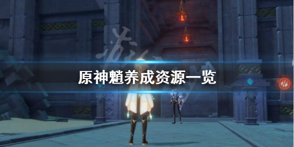原神魈怎么养（元神魈怎么得）