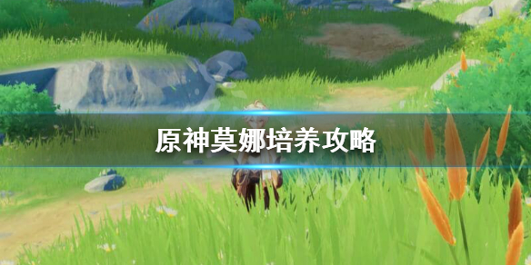 原神莫娜怎么培养 原神莫娜怎么培养武器
