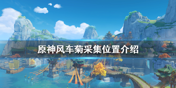 原神风车菊在哪里