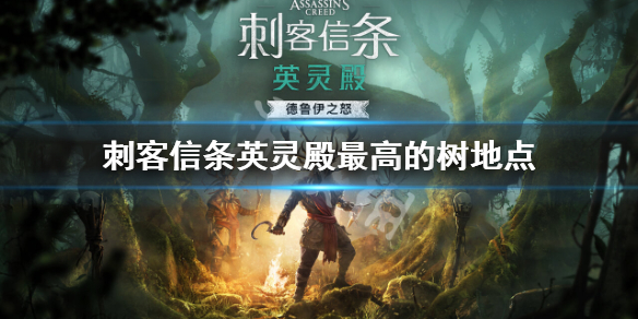 刺客信条英灵殿都柏林最高的树在哪 刺客信条英灵殿都柏林全收集
