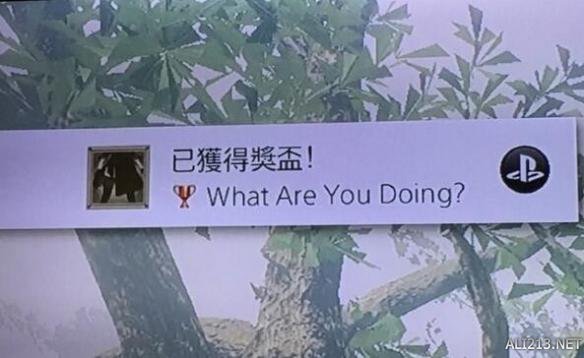 尼尔机械纪元What 尼尔机械纪元whereareyoudoing