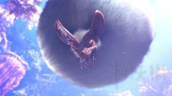 怪物猎人世界浮空龙怎么打（怪物猎人世界浮空龙怎么打）