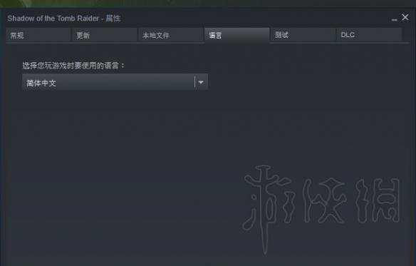 古墓丽影暗影中文补丁下载方法 古墓丽影暗影汉化补丁