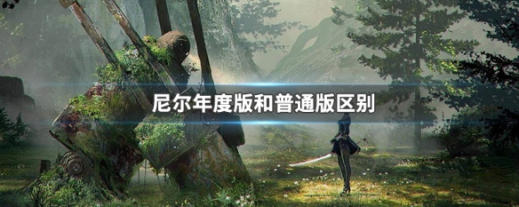尼尔年度版和普通版区别 尼尔年度版和正常版的区别