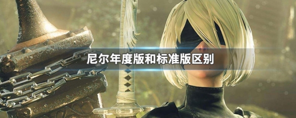 尼尔年度版和标准版区别（尼尔年度版有什么）