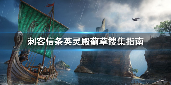 刺客信条英灵殿蓟草在哪 英灵殿草地