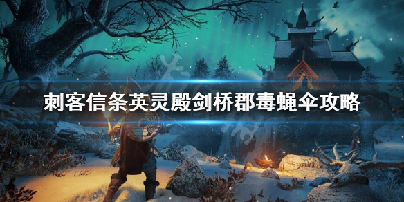 刺客信条英灵殿毒蝇伞任务怎么做 刺客信条英灵殿 毒蝇