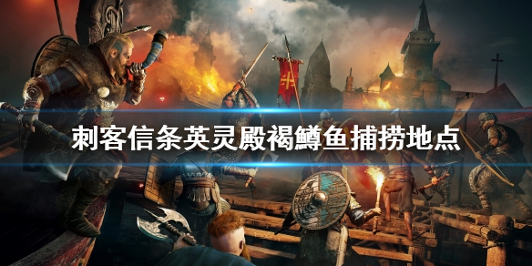 刺客信条英灵殿褐鱒鱼去哪抓（刺客信条英灵殿棕鱼在哪）
