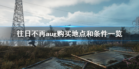 往日不再aug哪里买（往日不再枪在哪买）