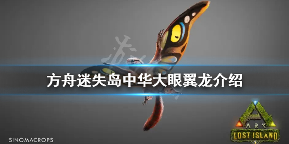 方舟生存进化迷失岛大眼翼龙是什么（大方舟之迷）