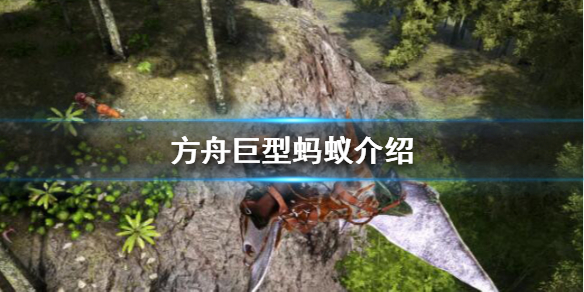 方舟巨型蚂蚁怎么样 方舟生存进化巨型蚂蚁怎么驯服
