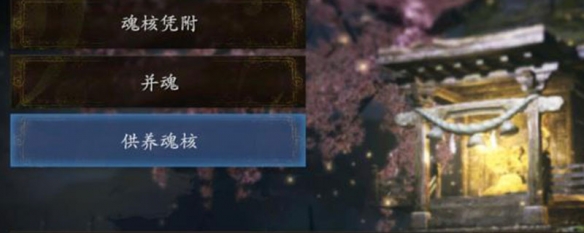 仁王2供养魂核什么意思（仁王2魂核不小心供养了）
