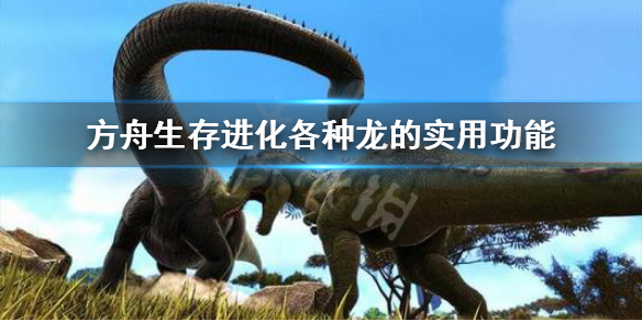 方舟生存进化哪些龙必备 方舟生存进化什么龙值得培养