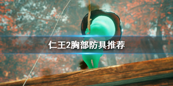 仁王2胸部防具怎么挑选（仁王2胸肌）
