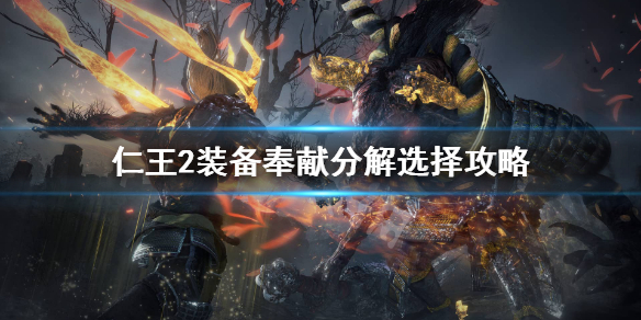 仁王2奉献有什么用（仁王2怎么奉献装备）