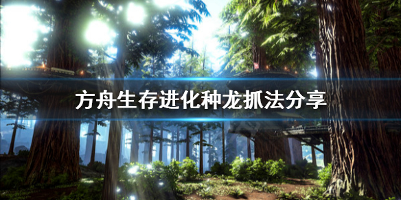 方舟生存进化种龙怎么选（方舟种龙是什么意思）