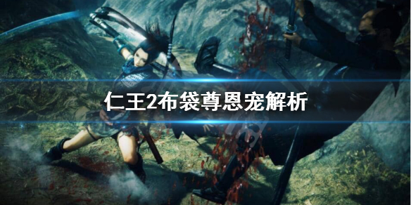 仁王2布袋尊恩宠怎么样（仁王2绿装恩宠）