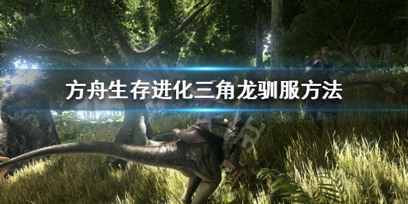 方舟生存进化怎么驯服三角龙（方舟生存进化怎么驯服三角龙鞍）