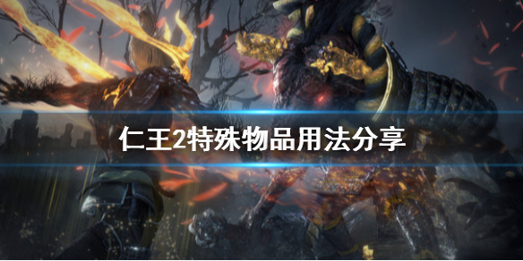 仁王2特殊物品怎么用（仁王2特殊效果怎么看）
