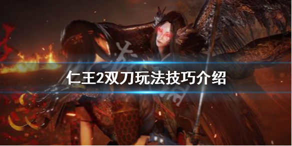 仁王2双刀怎么玩 仁王2双刀输出手法