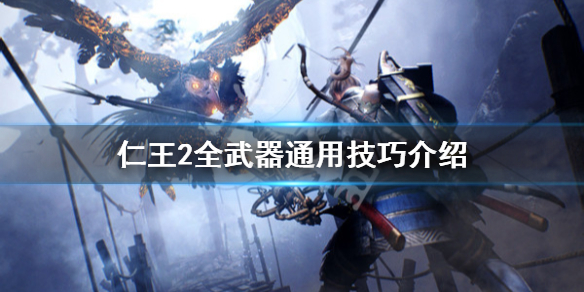 仁王2新手玩法技巧详解（仁王2新手玩法技巧详解图）
