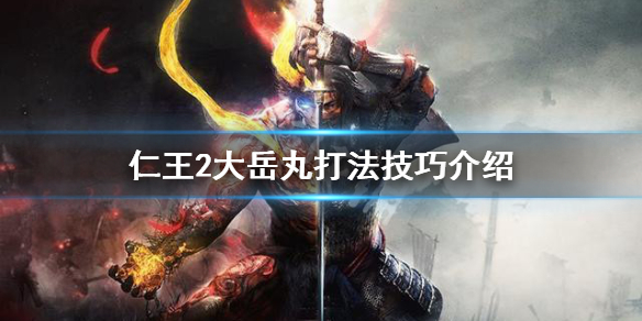 仁王2大岳丸怎么打（仁王2dlc大岳丸怎么打）