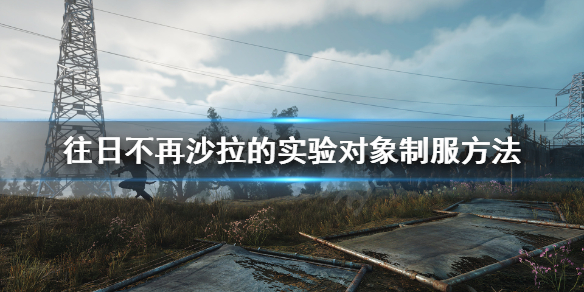 往日不再怎么制服幼变者 往日不再怎样