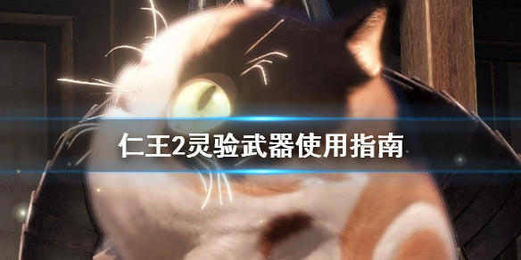 仁王2灵验武器好用吗 仁王2灵验武器好用吗