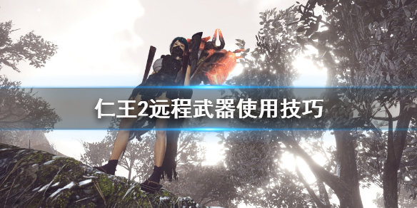 仁王2远程武器用什么（仁王2远程攻击）